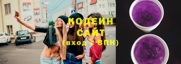 apvp Богданович