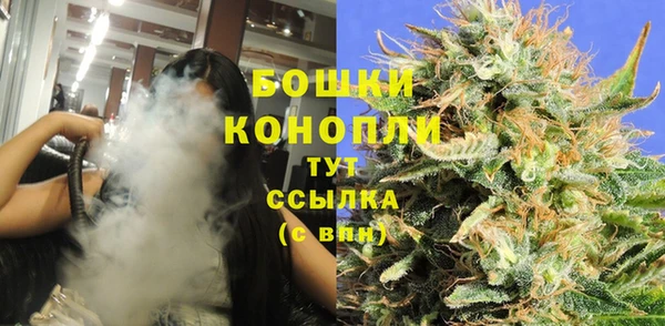 apvp Богданович