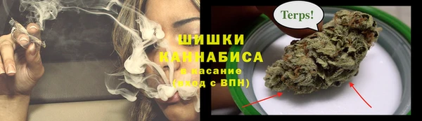 соль ск Богородицк