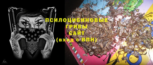 apvp Богданович