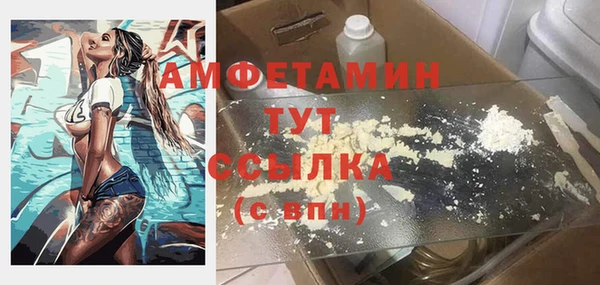 соль ск Богородицк