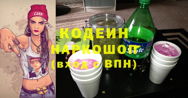 apvp Богданович